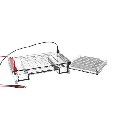 augstas veiktspējas horizontālās elektroforēzes kamera